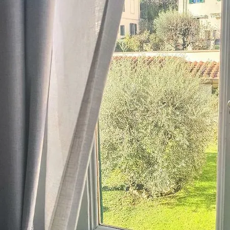 Gelsomino 26